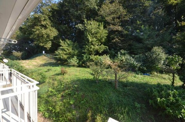 メゾンフォーレの物件内観写真